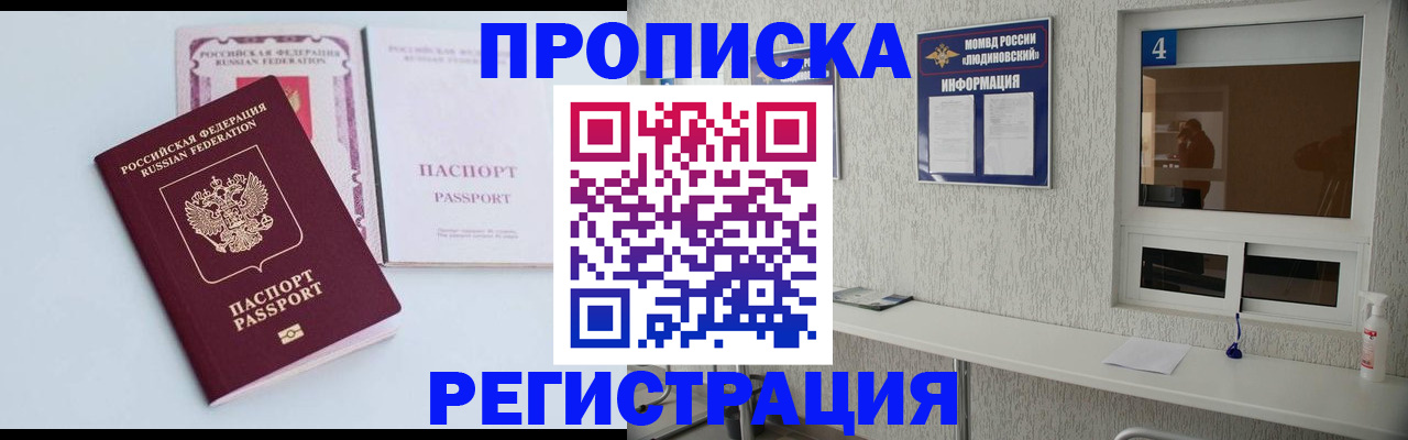 временная прописка в Щёкино